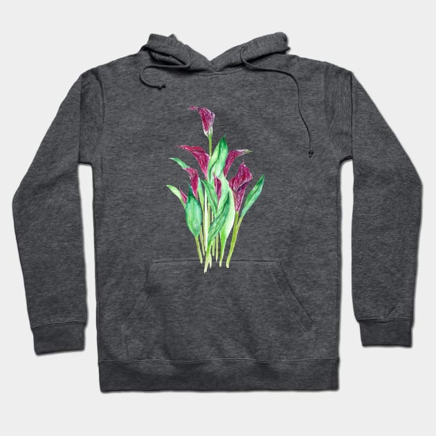 purple calla lily watercolor Hoodie by colorandcolor